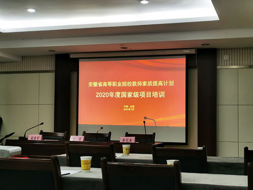 合肥信息学院新媒体艺术系教师参加国培“广播影视节目制作”项目，深化专业素养与教学创新